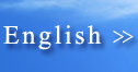 Go to English site